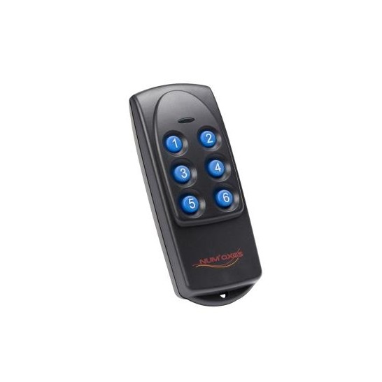 Canifly First remote control