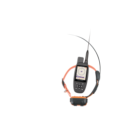 Canicom GPS - GPS location system 2-in-1: tracking + remote training