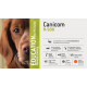 Canicom R-500 rechargeable dog trainer