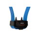 Canicom training collar with blue strap
