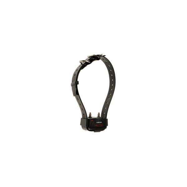 Ensemble de dressage Canicom 1500 - collier récepteur avec sangle noire