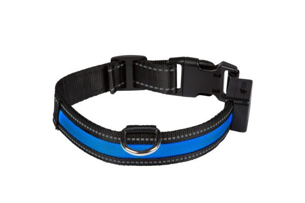 Eyenimal Light Collar USB Rechargeable - Bleu