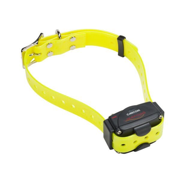 Collier CANICOM sangle jaune NUMAXES Education
